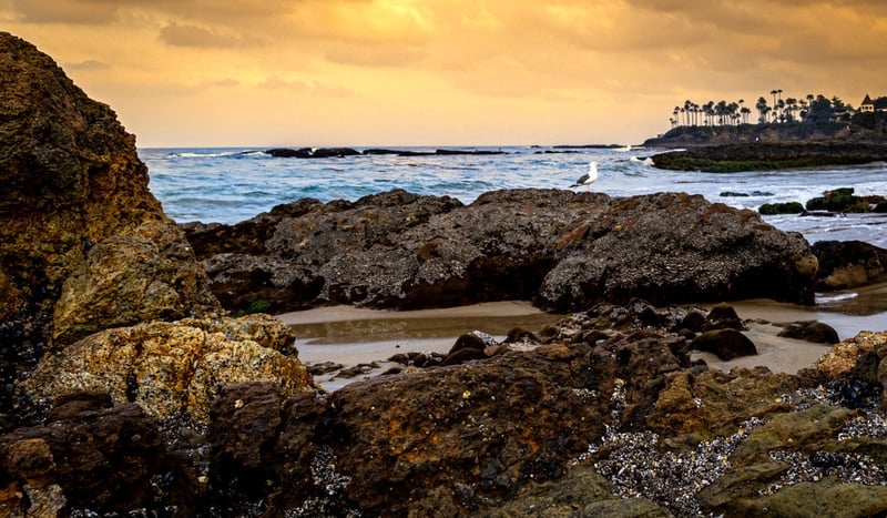 Diver's Cove
