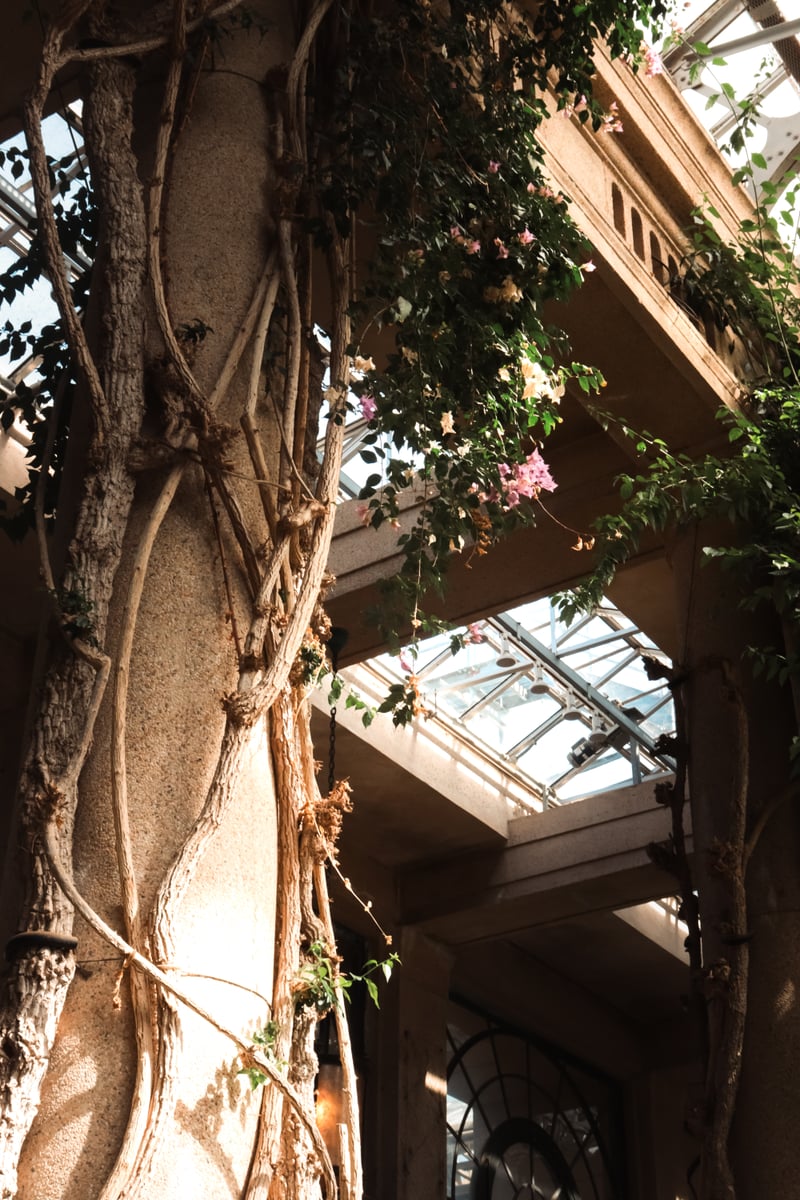 Longwood Gardens Conservatory