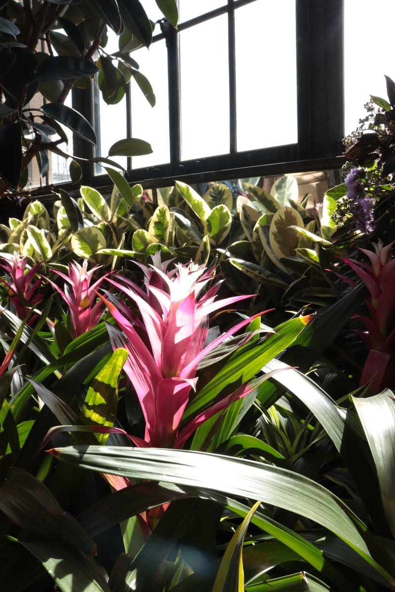 Longwood Gardens Conservatory