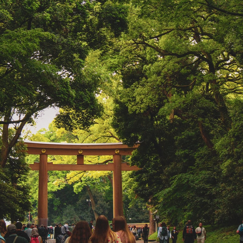 Meiji Jingu (Meiji Shrine)
