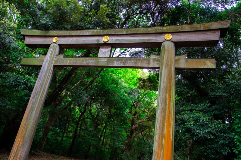Meiji Jingu Shrine Torii Gate