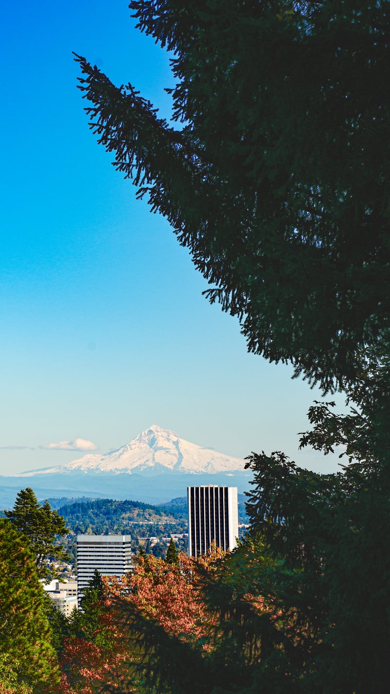 Portland Japanese Garden Overlook