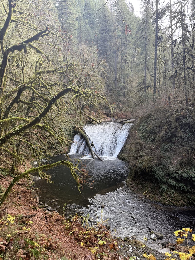 Silver Falls State Park