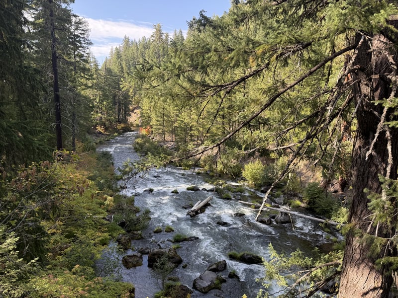 Rogue River Scenic Overlook