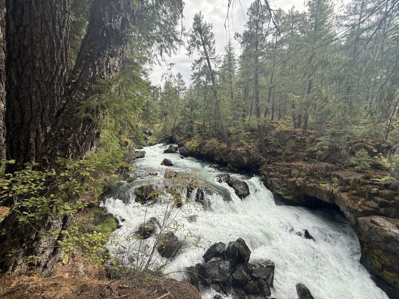 Rogue River Gorge