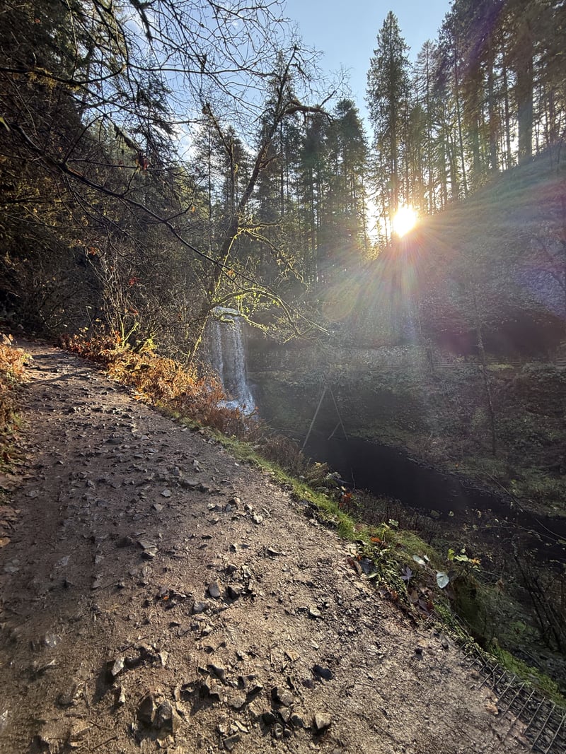 Silver Falls State Park