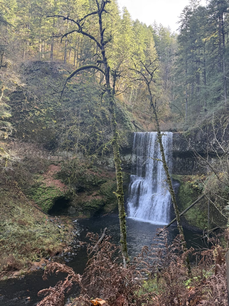 Middle North Falls