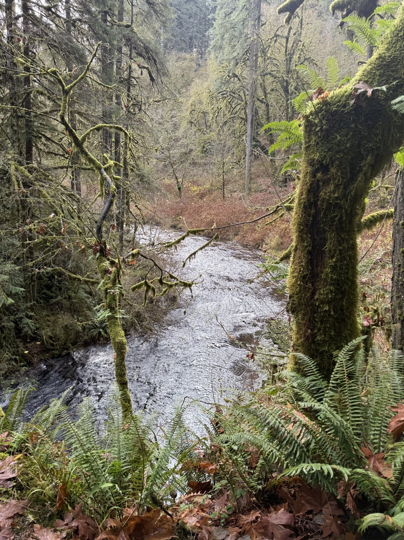 Silver Falls State Park