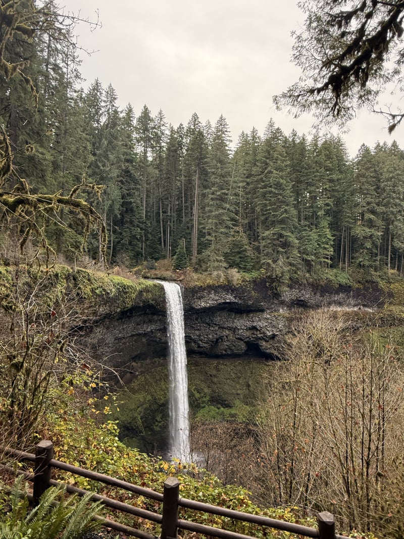 20024 Silver Falls Drive Southeast