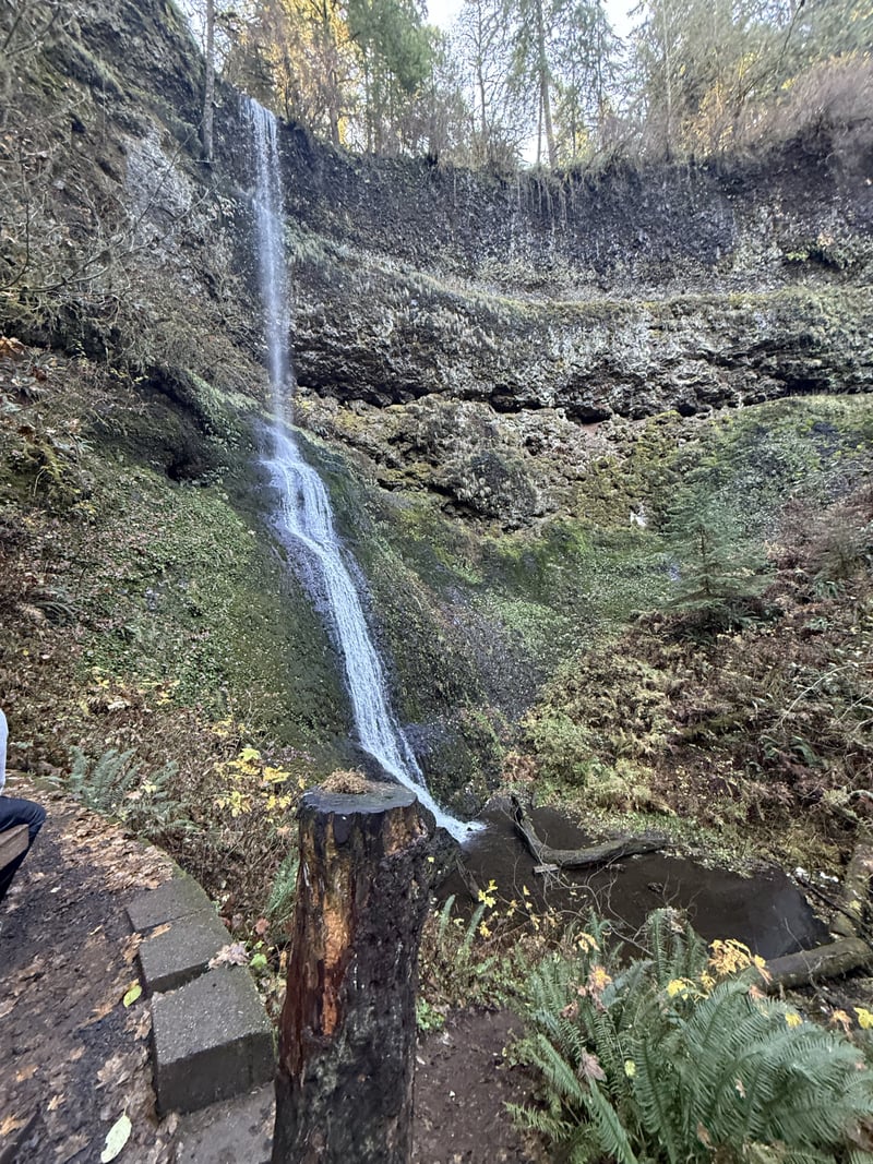 Winter Falls, Silver Falls State Park