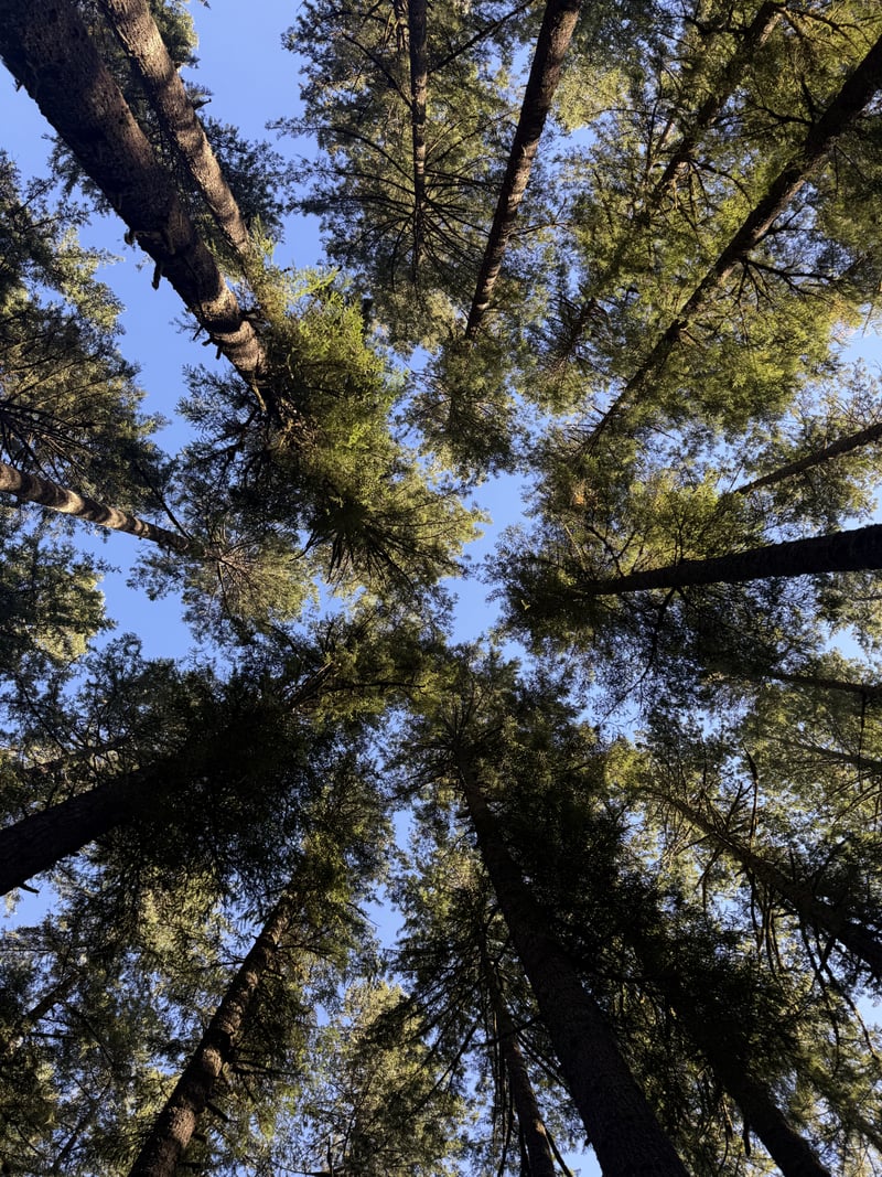 Silver Falls State Park
