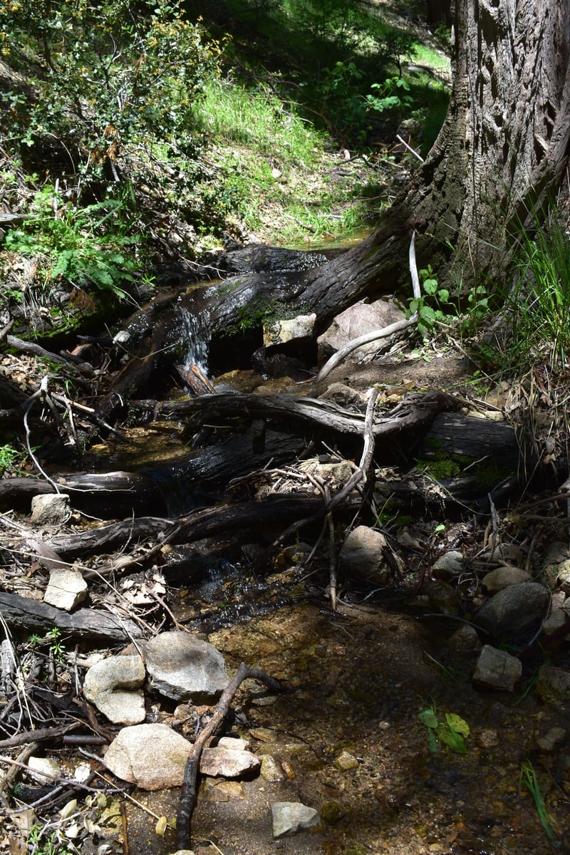 Strawberry Peak Trail Creek