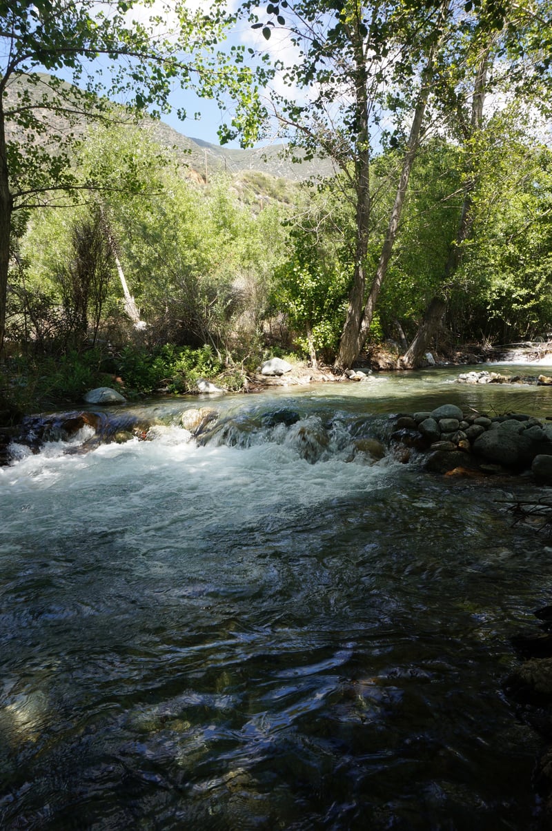 San Dimas Canyon Creek