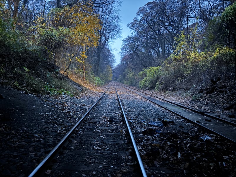 Forest Park Abandoned Railway