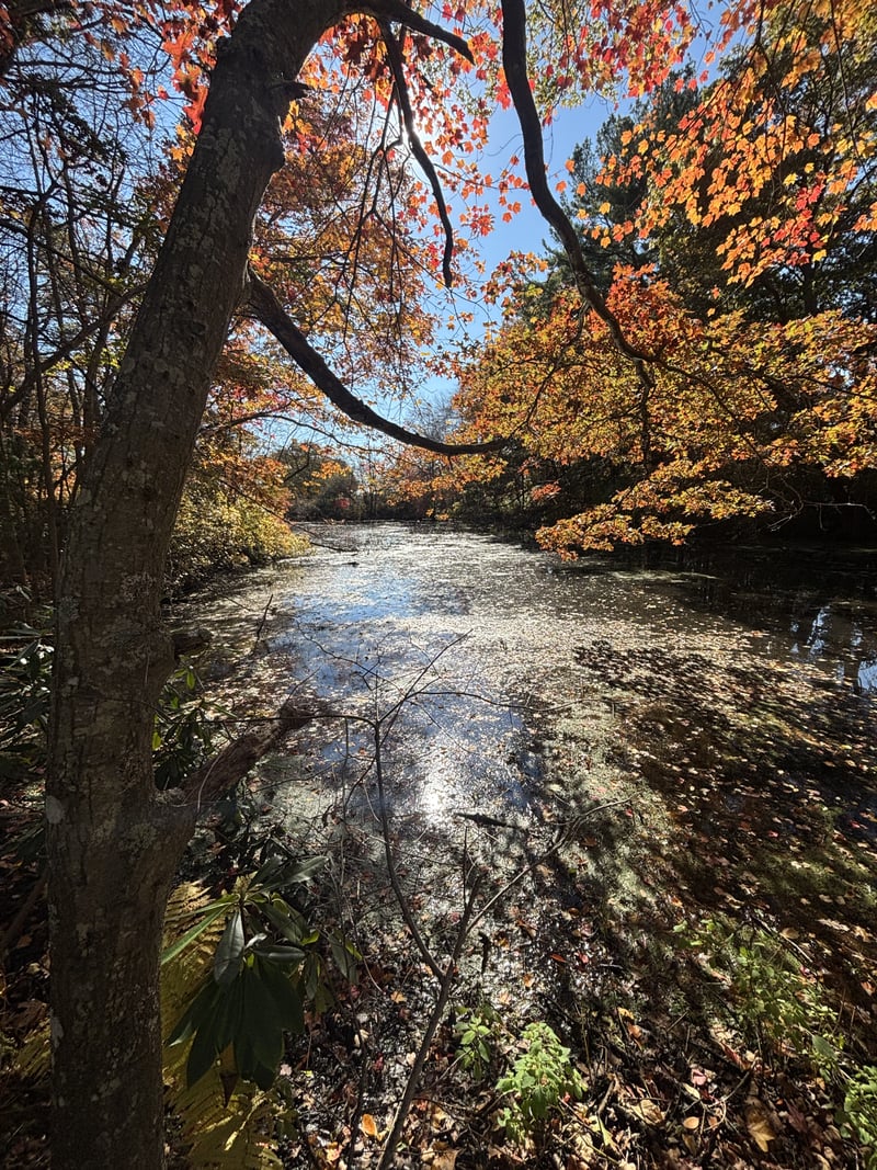 Sans Souci County Park