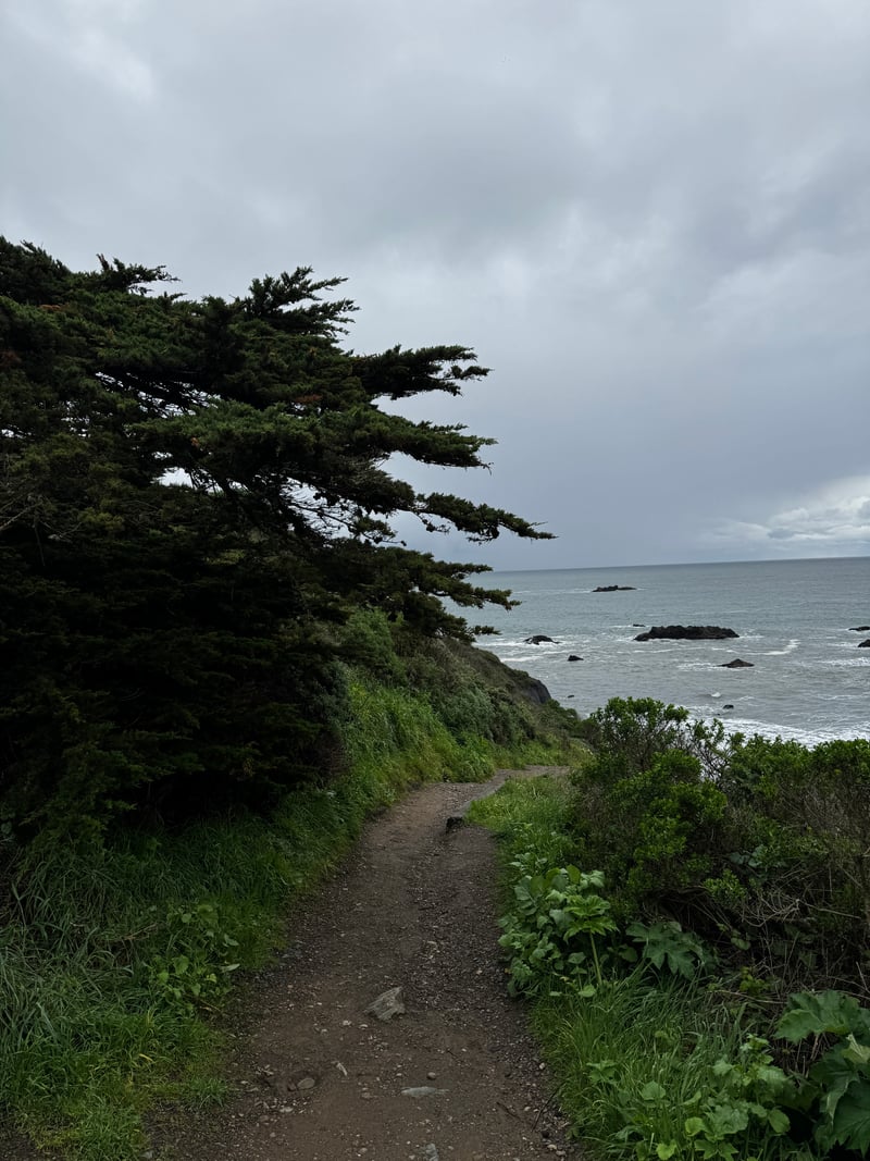 Kortum Trail Coastal Overlook