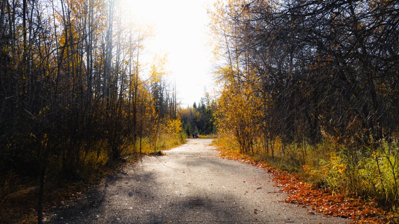 Blackmud Creek Ravine Trail