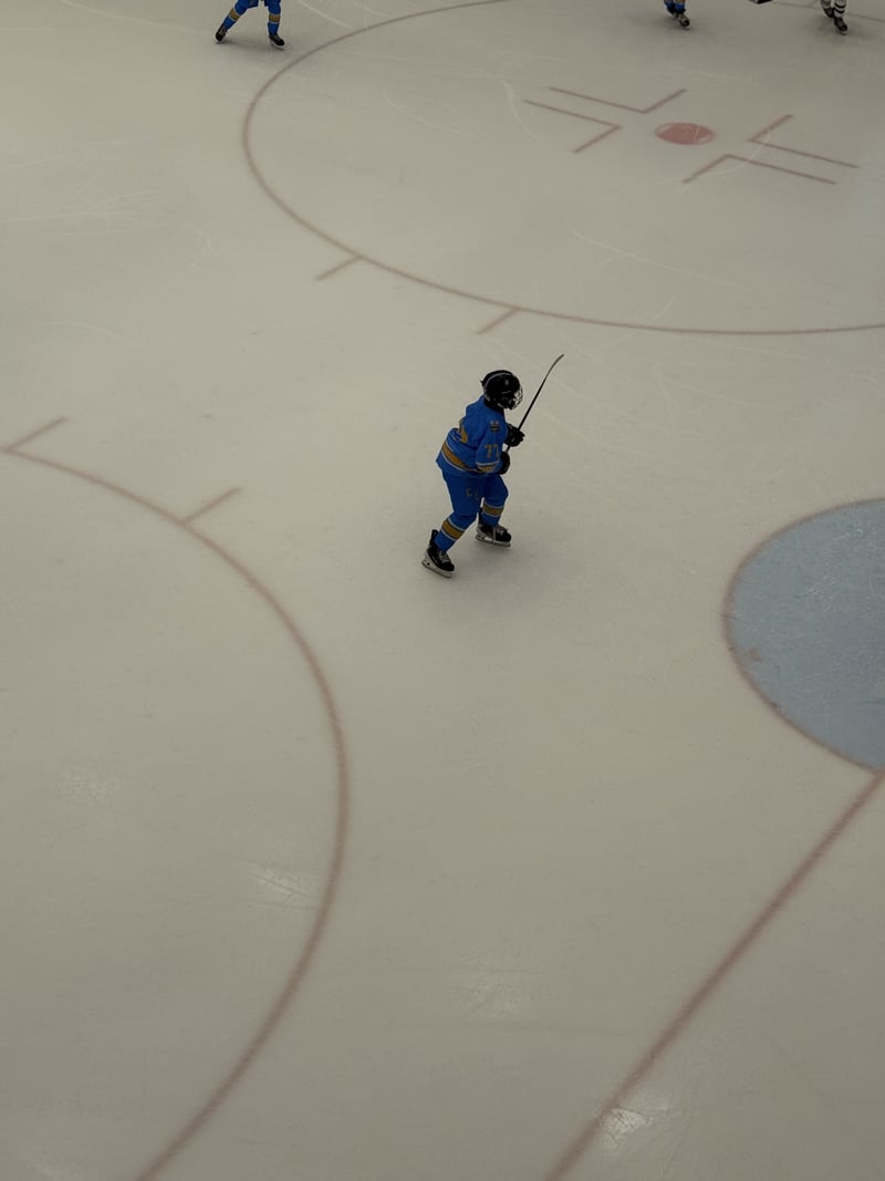 West Edmonton Mall Ice Palace