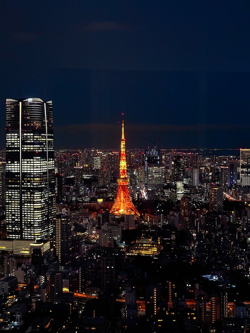 Tokyo Tower Skyline View