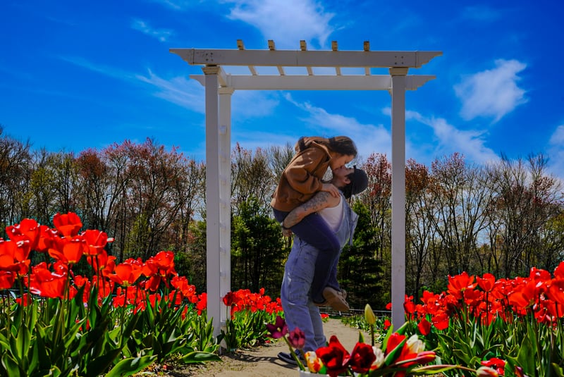 The Berkley Tulip Farm