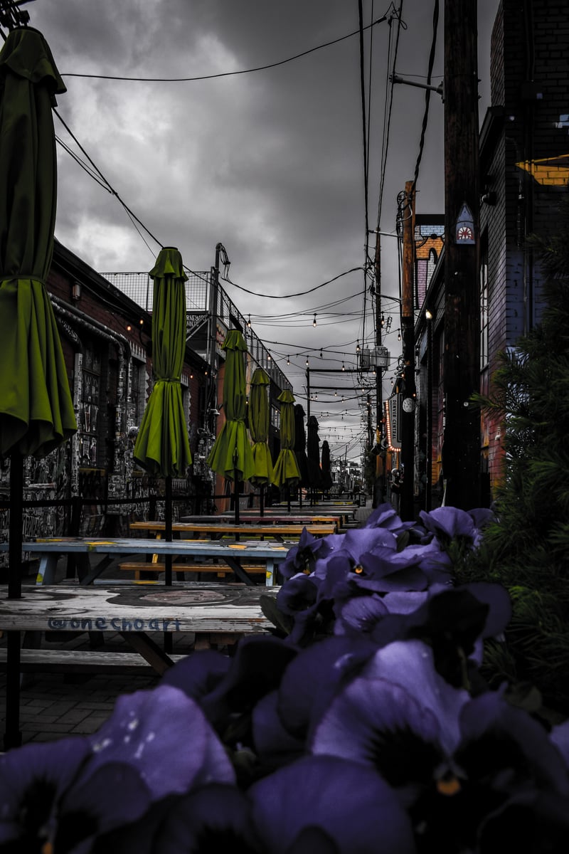 RiNo Art District Alleyway