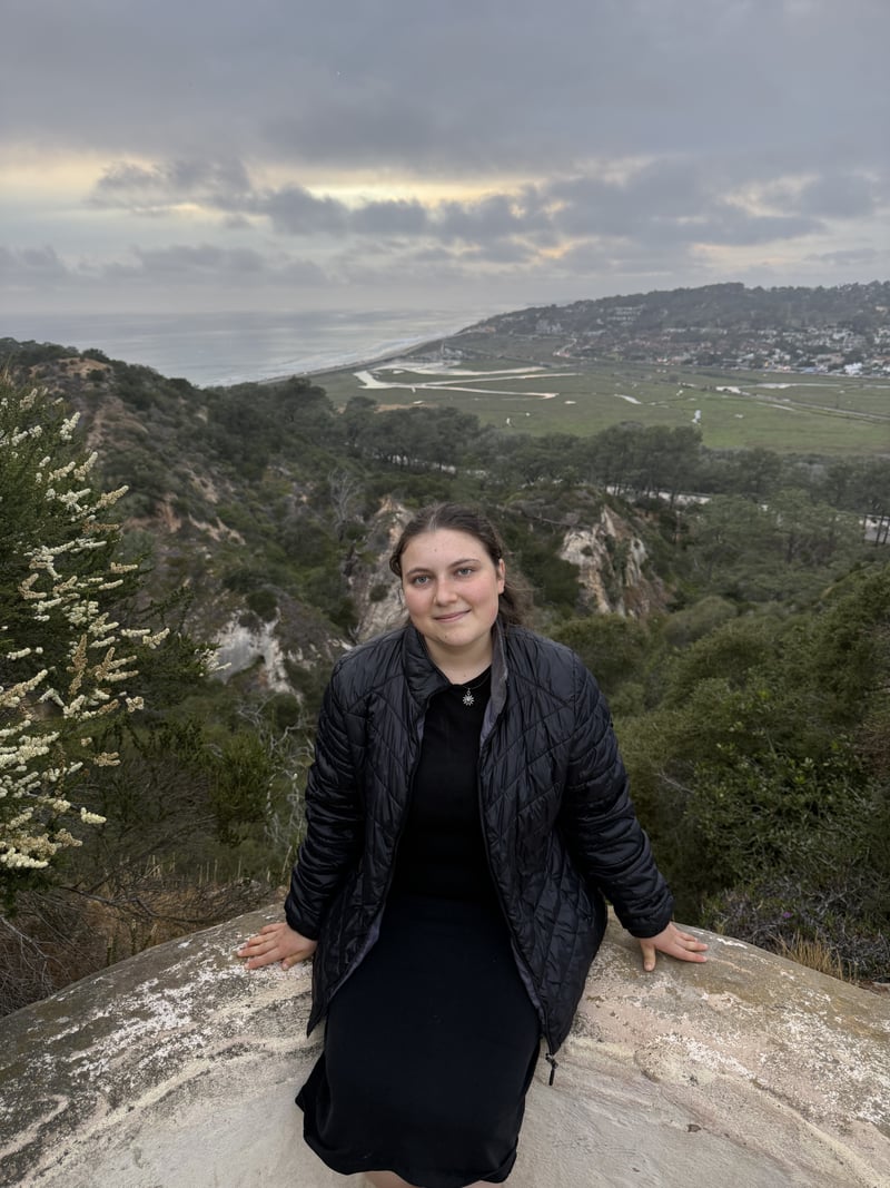 Torrey Pines State Natural Reserve Overlook