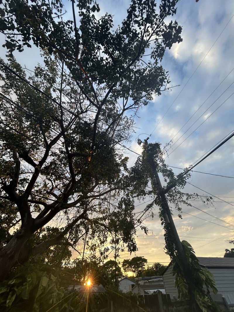 Brownsville Sunset Silhouettes