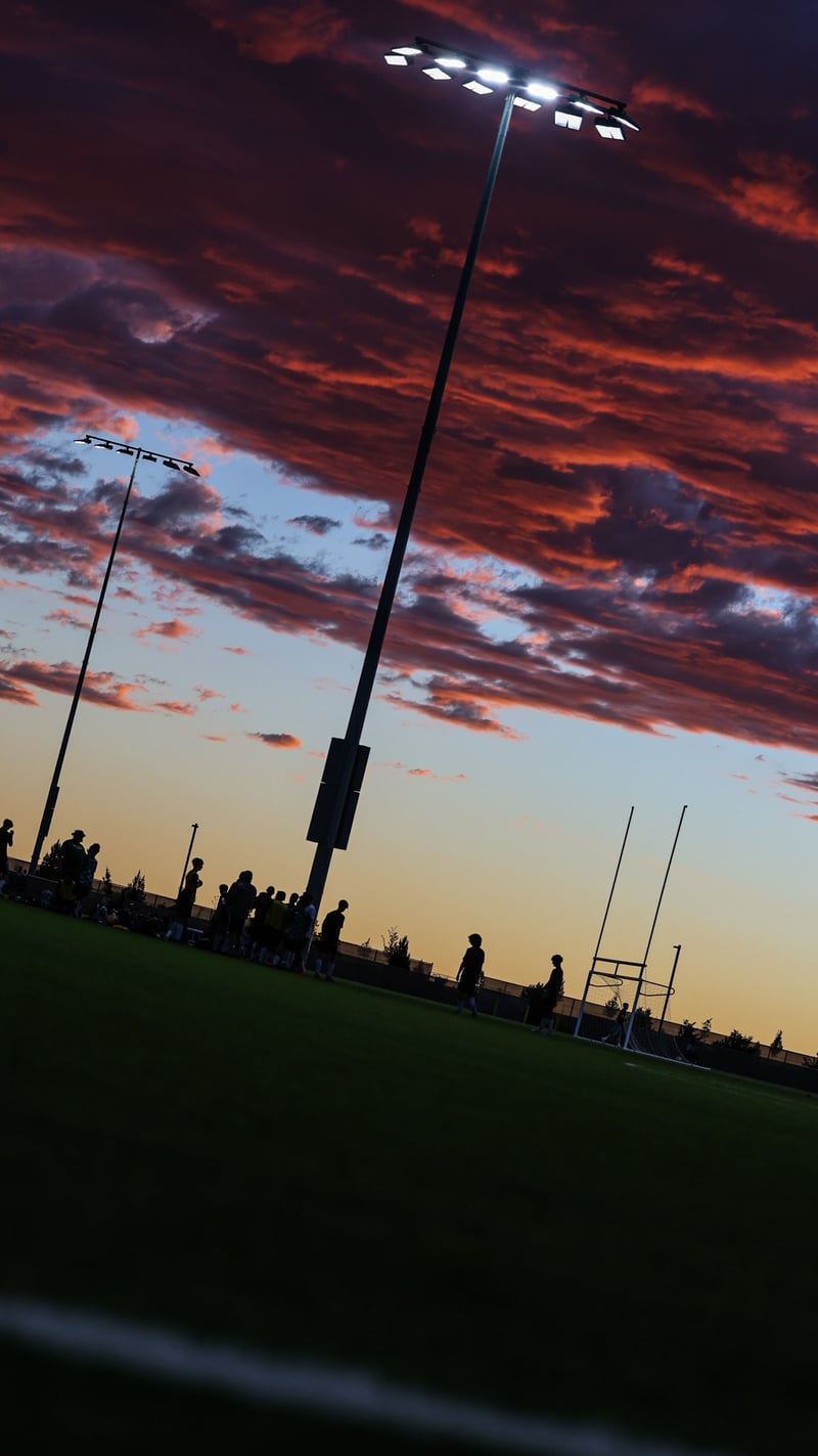 Mesa del Sol Sports Complex