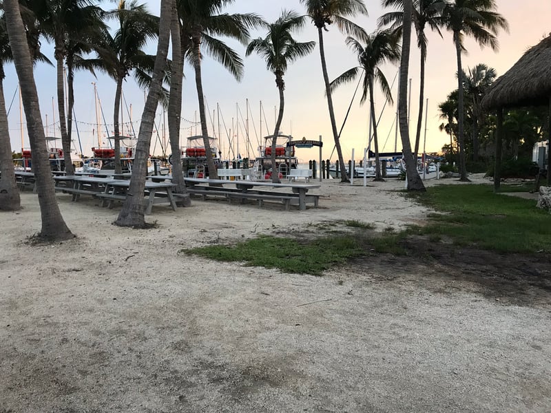 Robbie's of Islamorada
