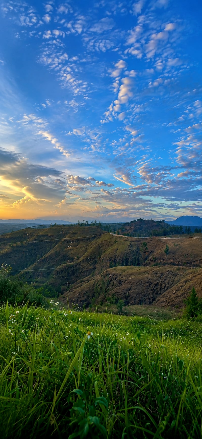 Loma Linda South Hills Overlook