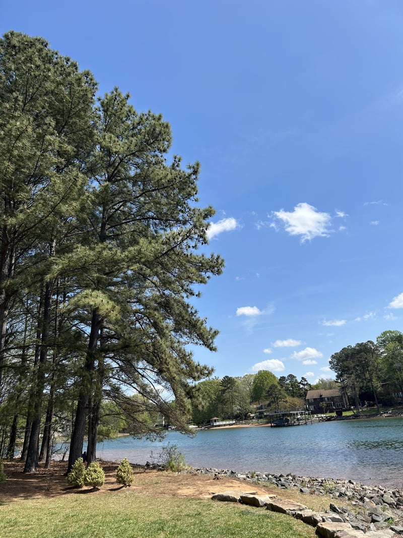 Jetton Park