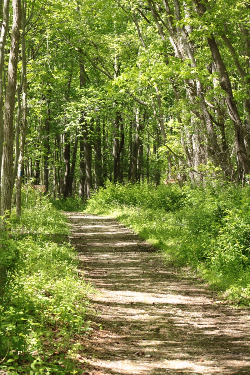 Marshy Point Nature Center