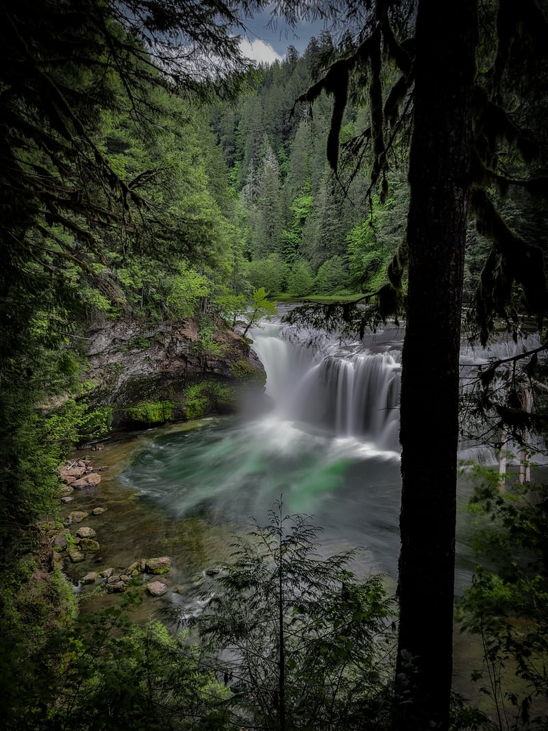 Lower Lewis River Falls