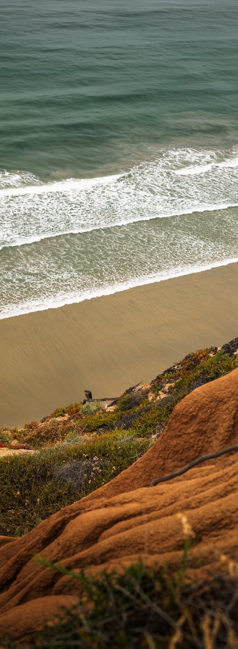 Torrey Pines State Natural Reserve