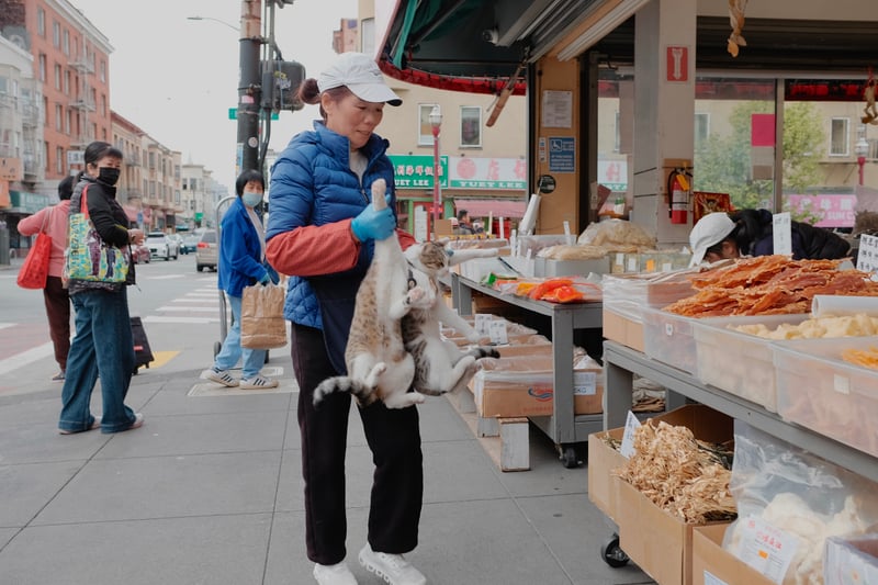 San Francisco Chinatown Market