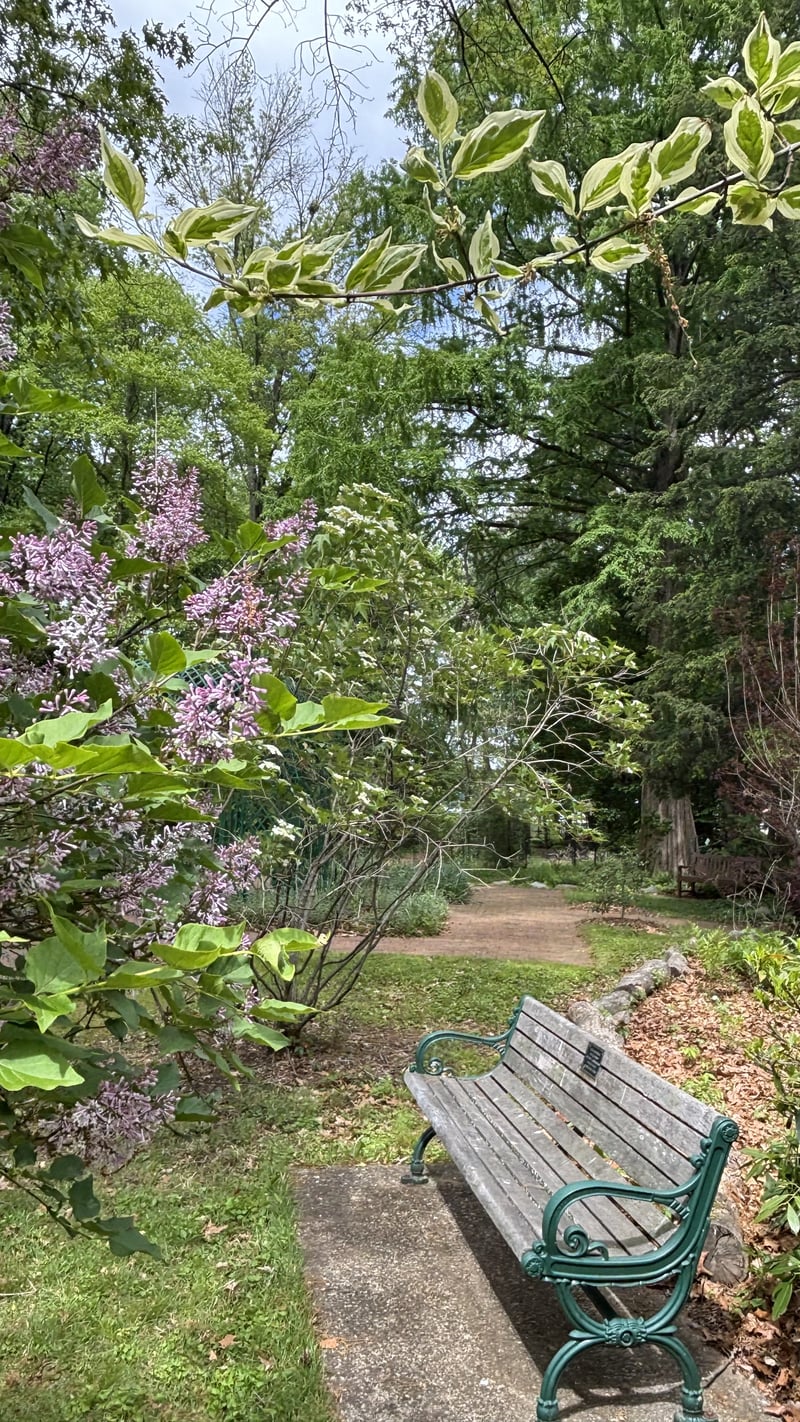 Thielke Arboretum