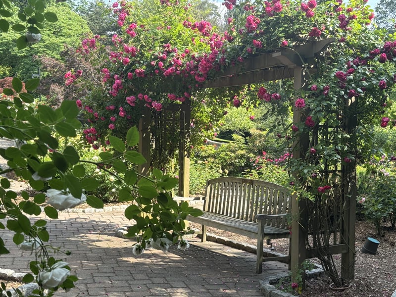 Davis Johnson Park & Gardens