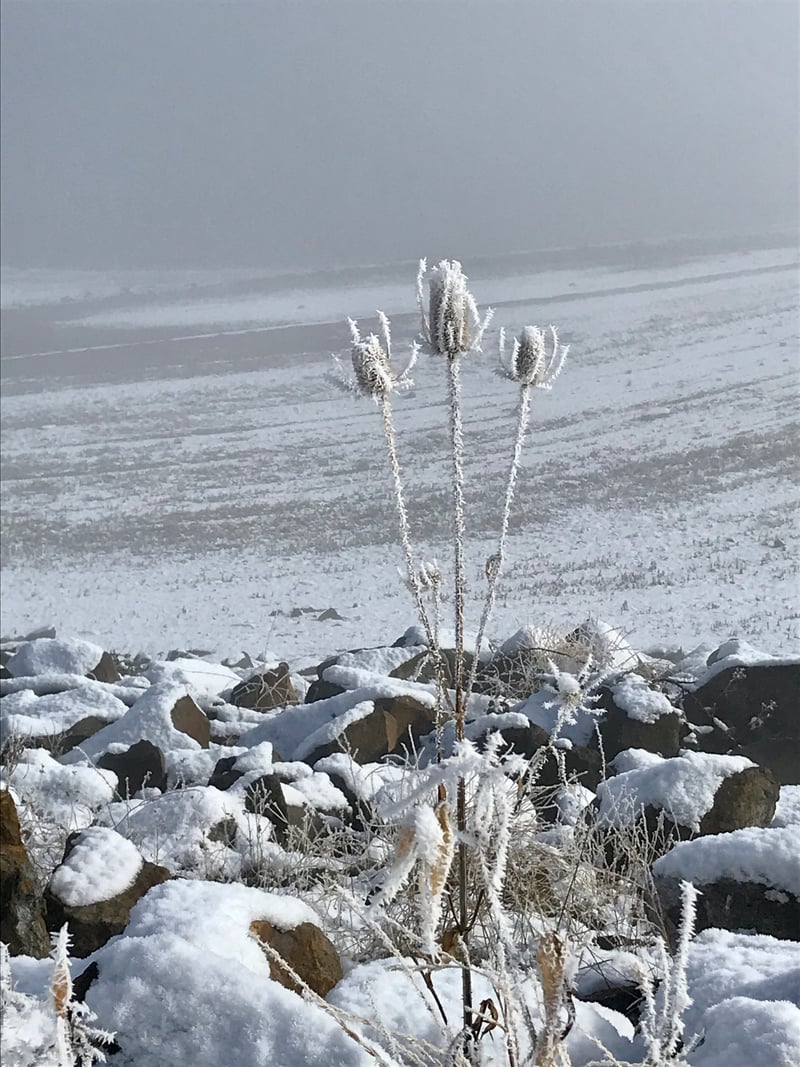 Emigrant Lake County Park