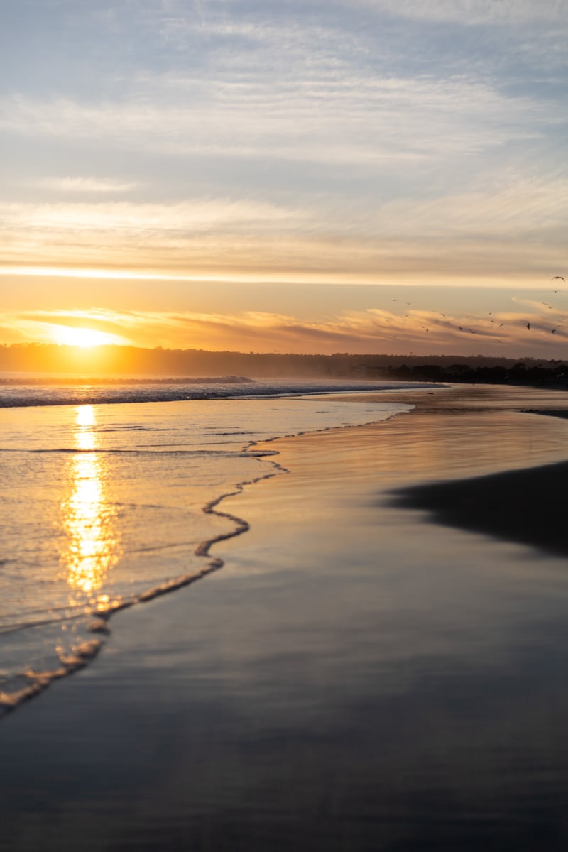 Kirby Cove Beach