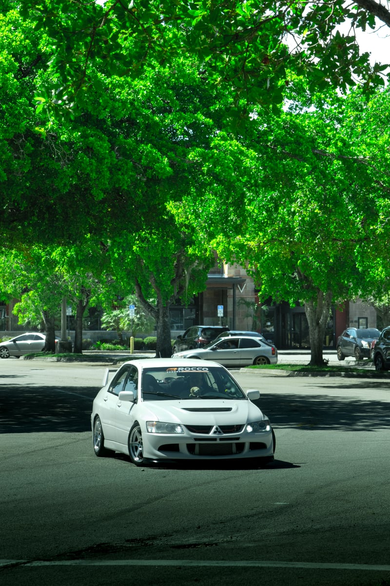 Doral Tree-Lined Street