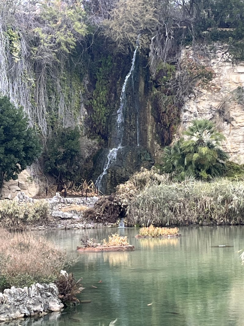 San Antonio Japanese Tea Garden