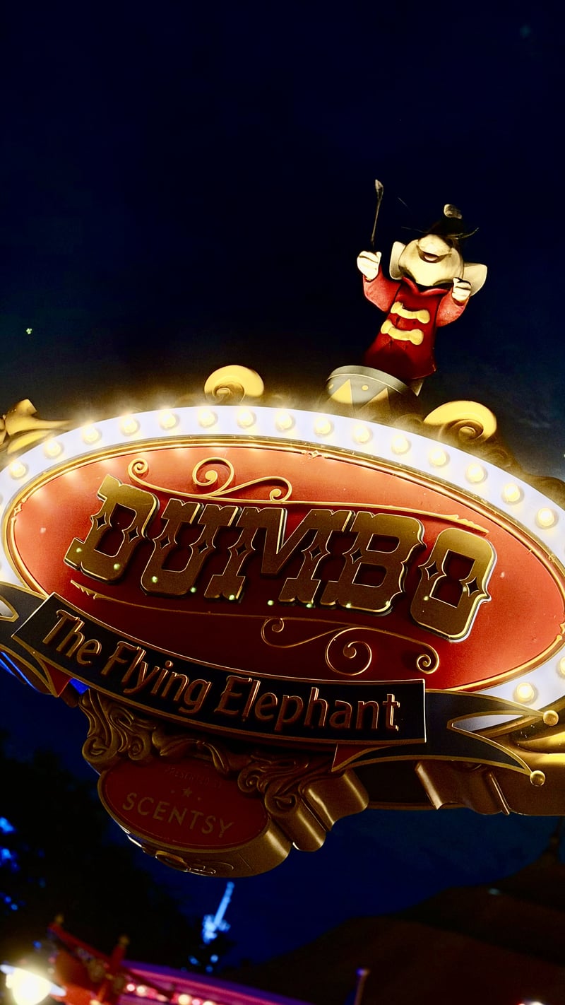 Dumbo the Flying Elephant, Magic Kingdom