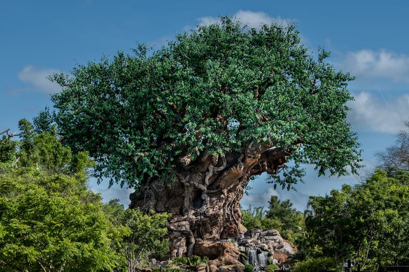 Tree of Life, Disney's Animal Kingdom