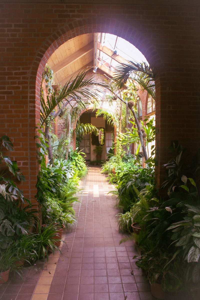 Kingwood Center Gardens Conservatory
