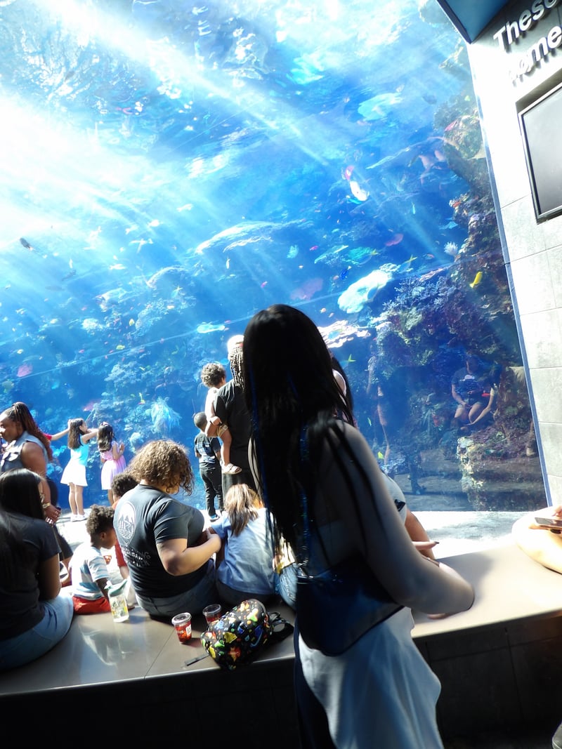 Georgia Aquarium
