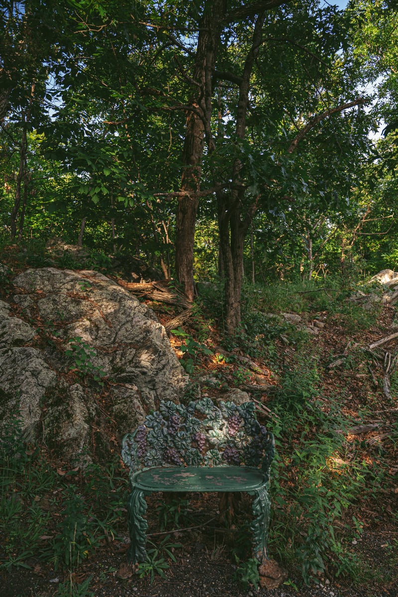 Ramapo Mountain Woodland Bench