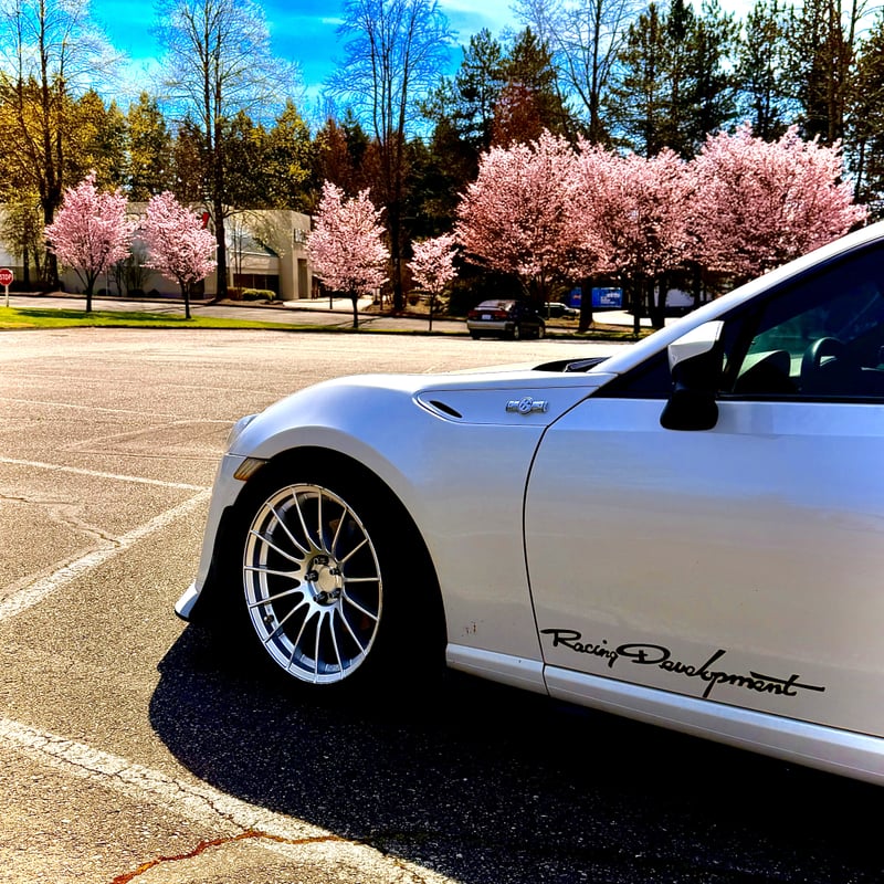 Capital Mall Cherry Blossoms