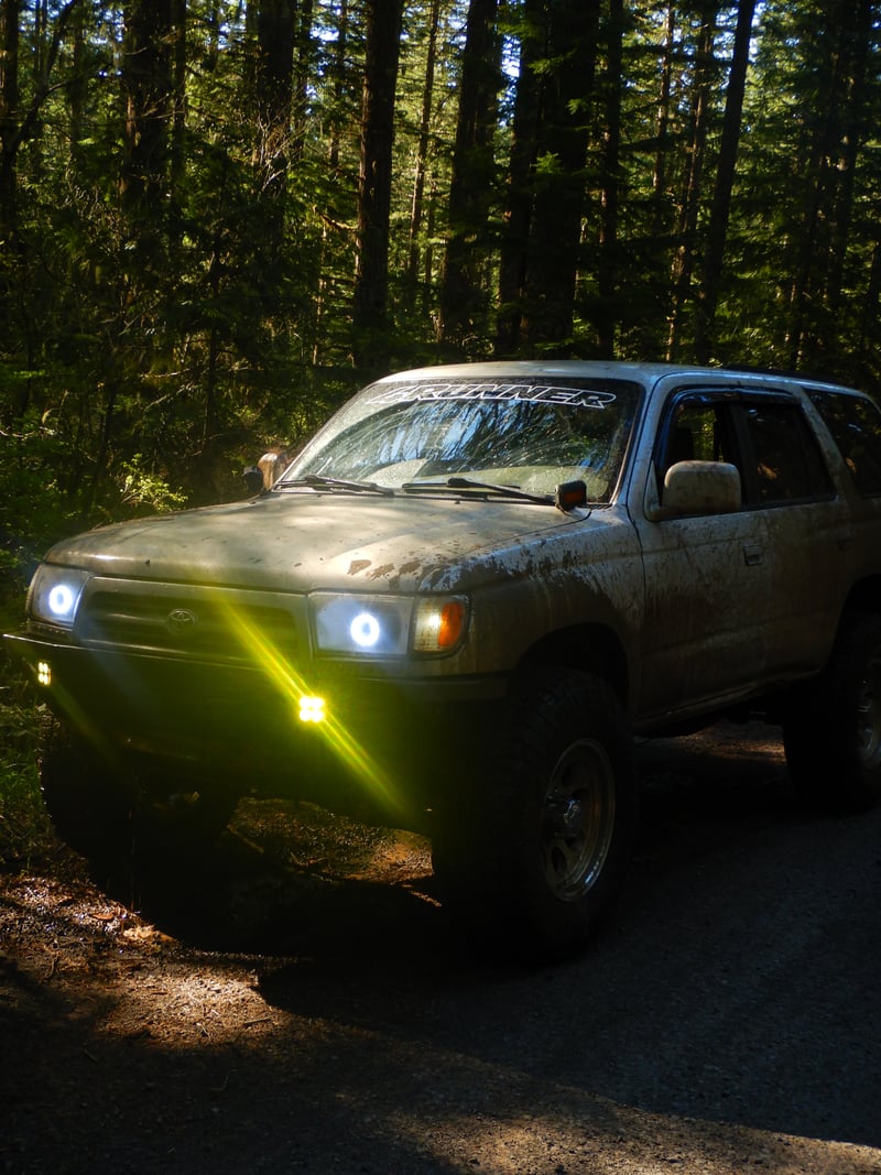 Molalla River Corridor Forest Trail