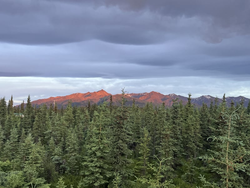 Denali Wilderness Overlook