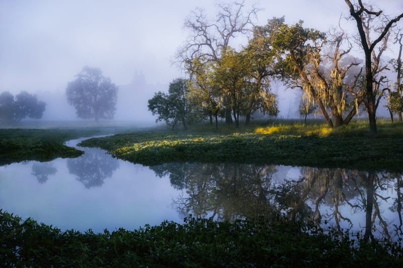 Laguna de Santa Rosa